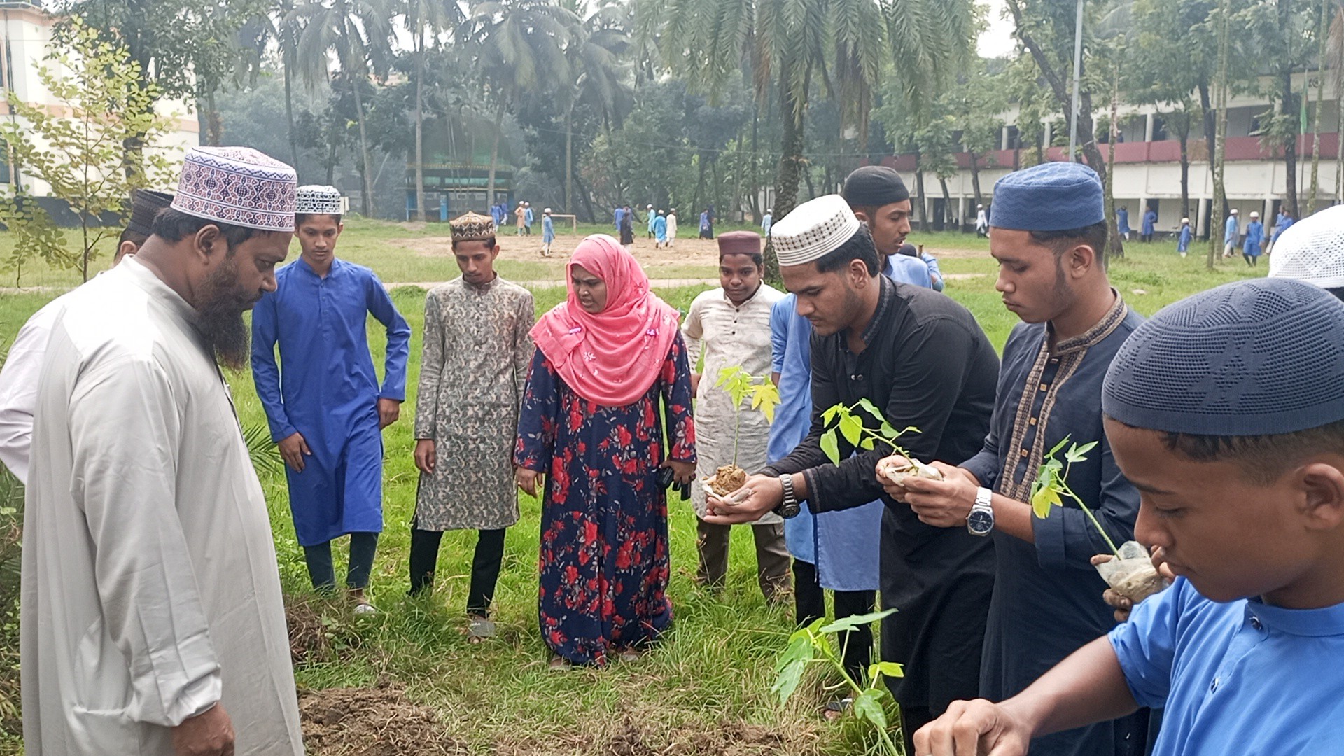বৃক্ষরোপণ কর্মসূচি
